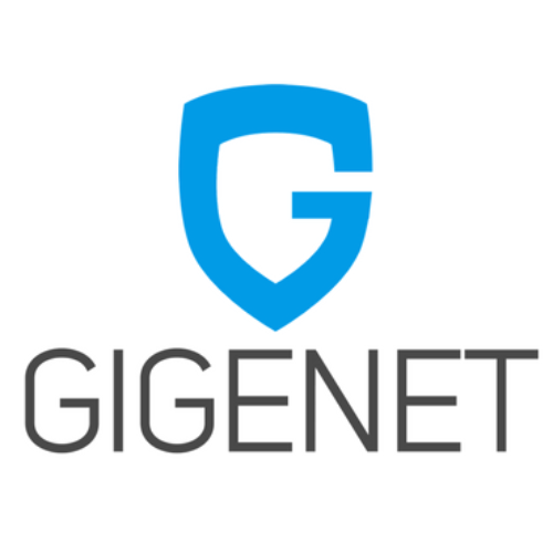 GigeNet gallery image