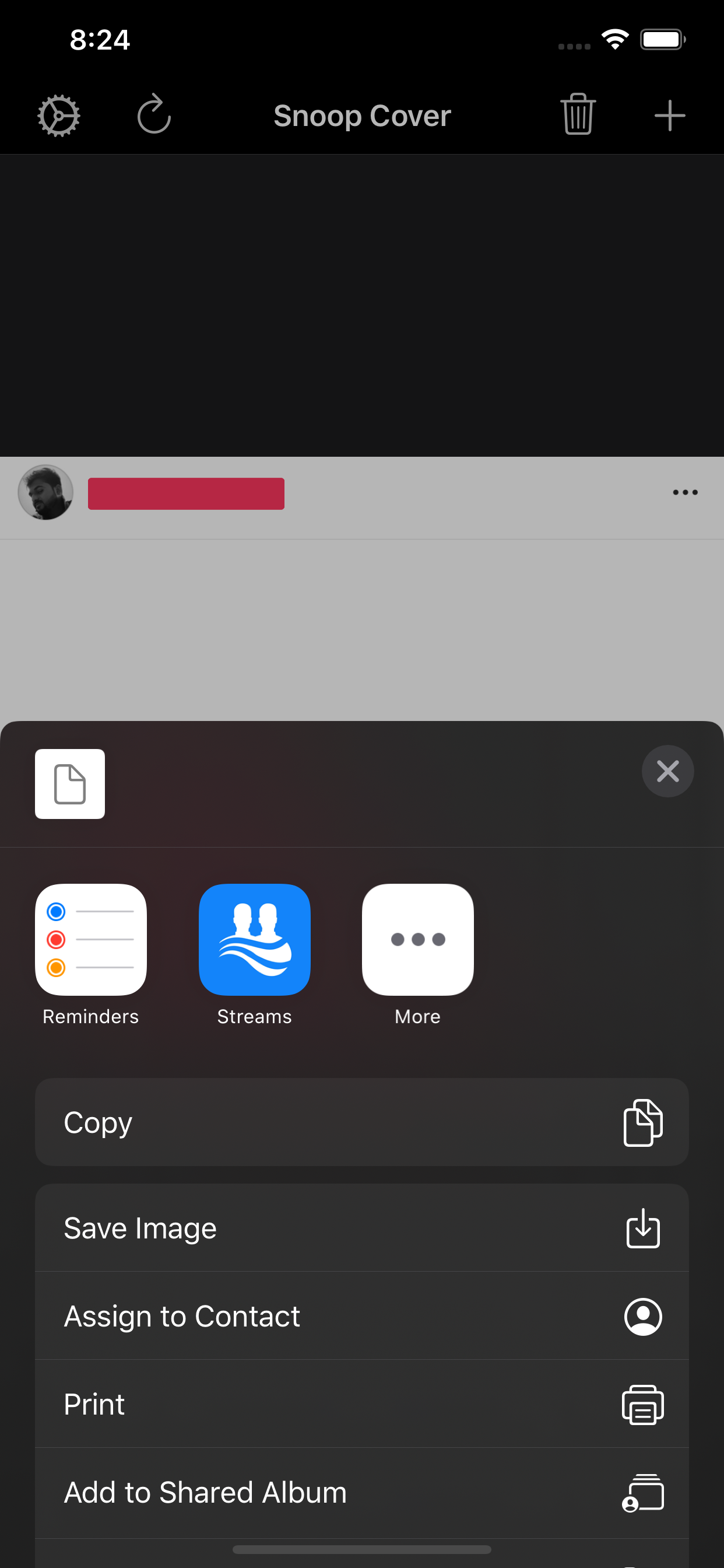 SnoopCover gallery image