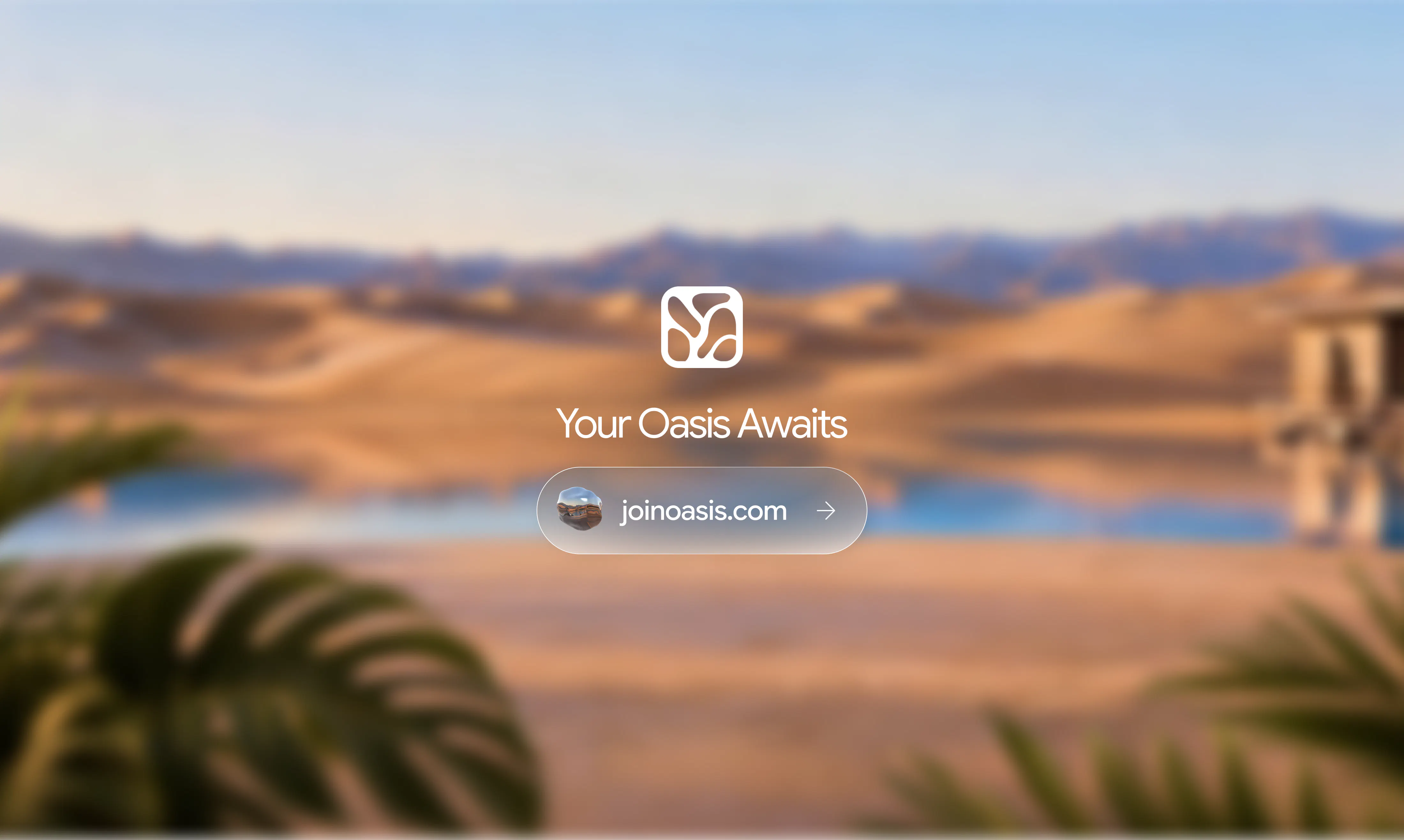 Oasis gallery image