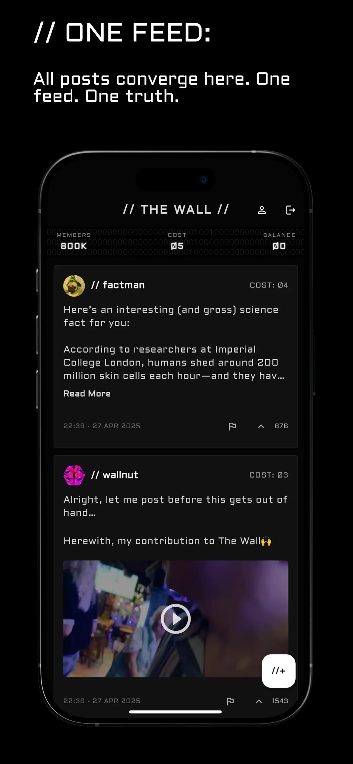 // THE WALL //