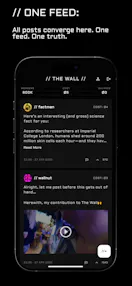 // THE WALL //