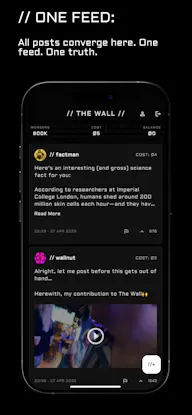 // THE WALL //