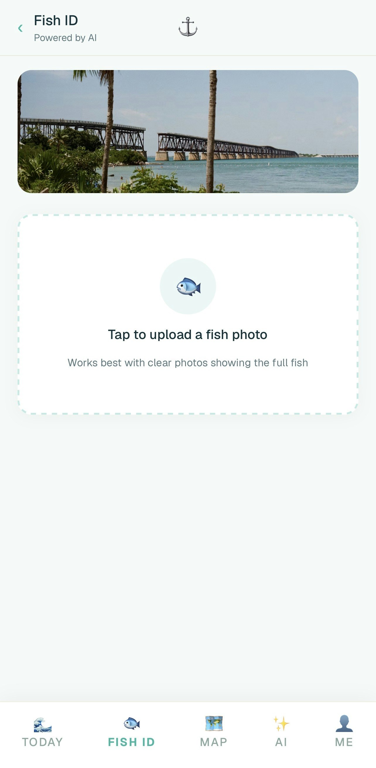 flkeys.app gallery image