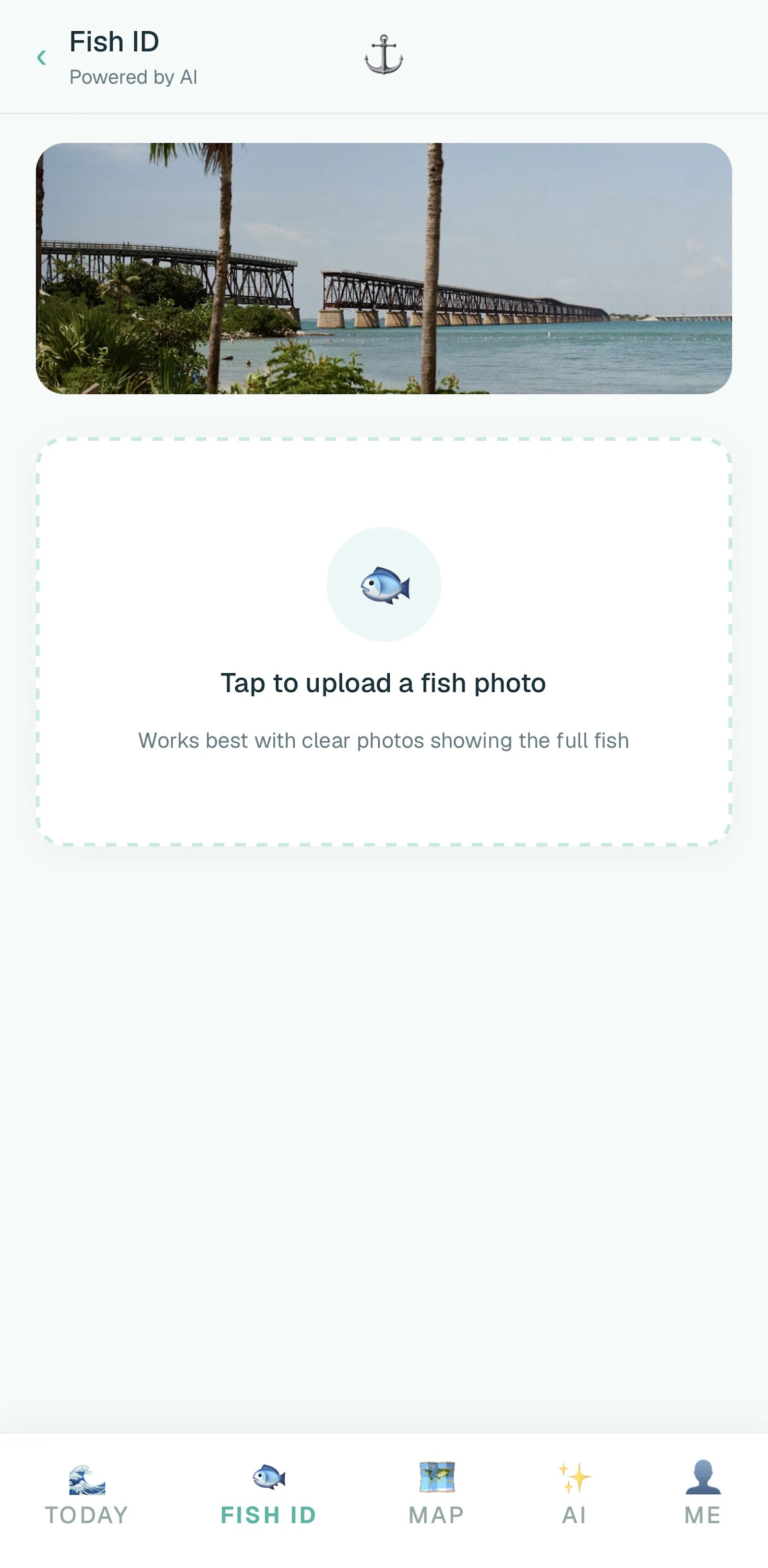 flkeys.app screenshot 3