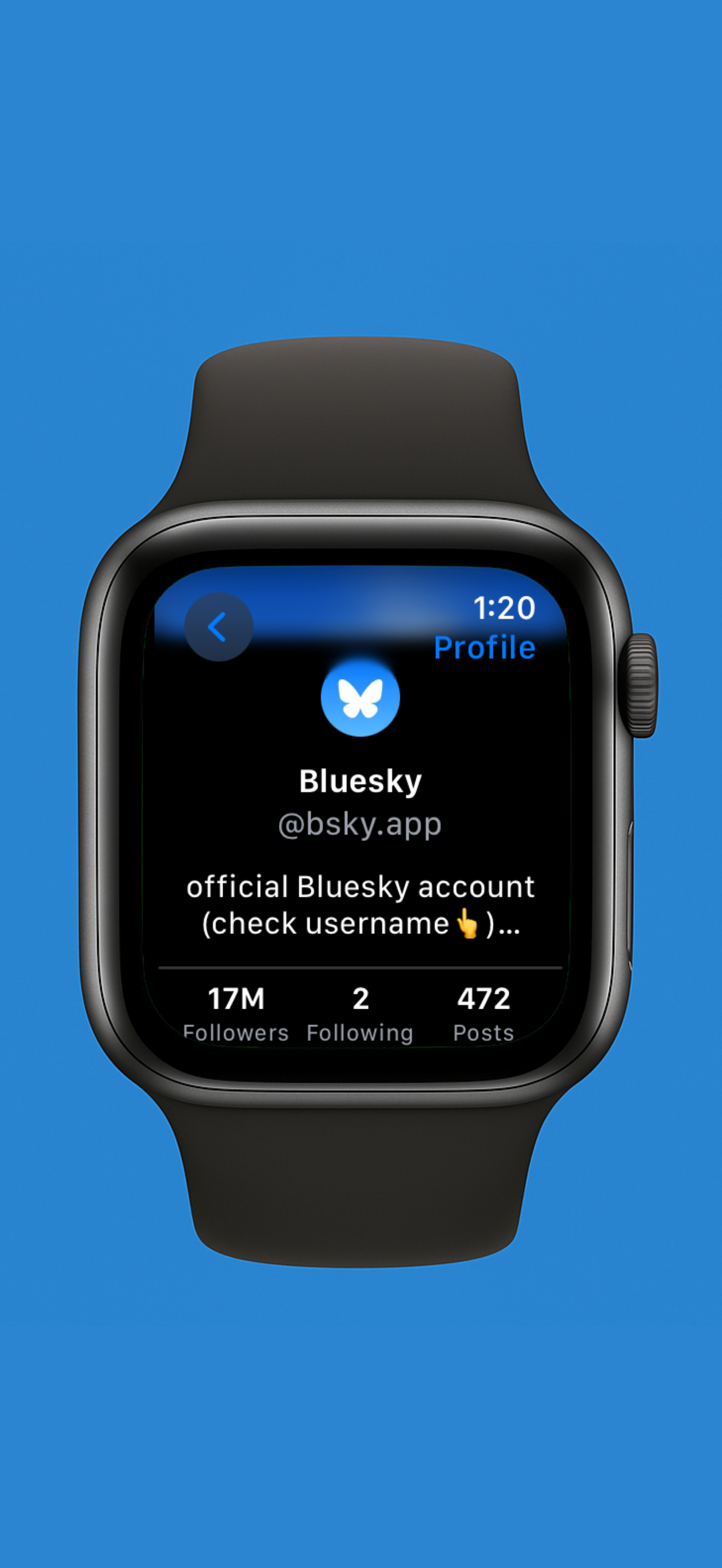 Butterfly for Bluesky gallery image