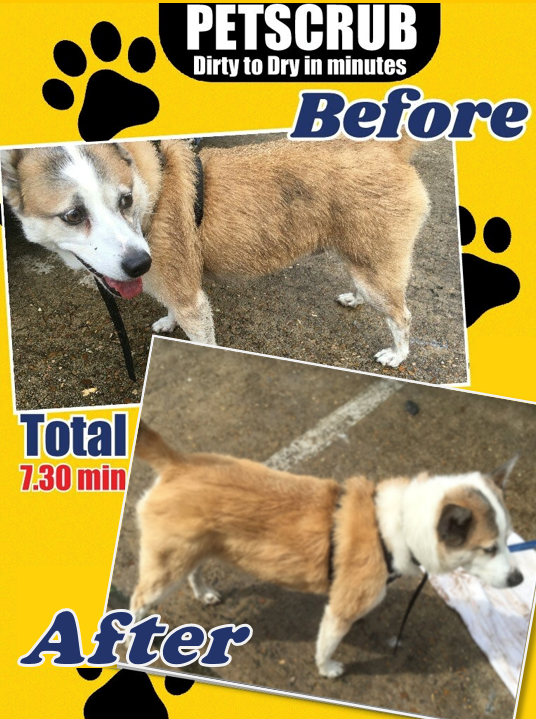 PetScrub gallery image