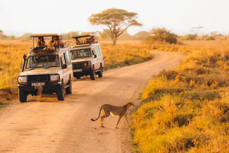 Africantrust Safari gallery image