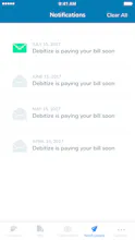 Debitize gallery image