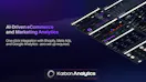 Karbon Analytics