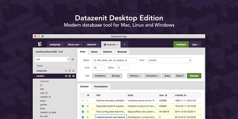 Datazenit Desktop Edition
