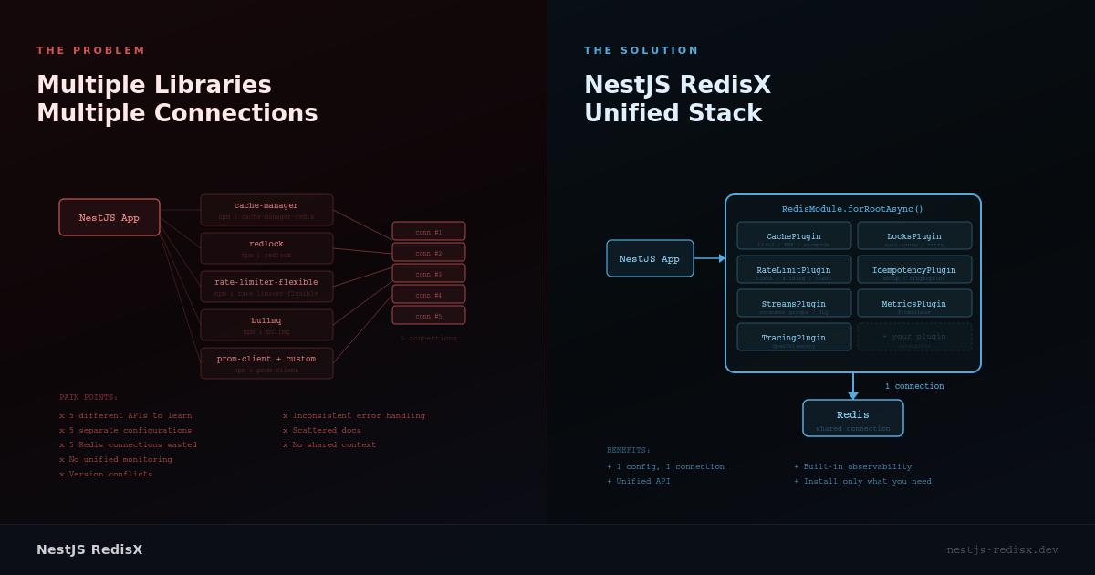 NestJS RedisX - Screenshot 3 showing product features and functionality