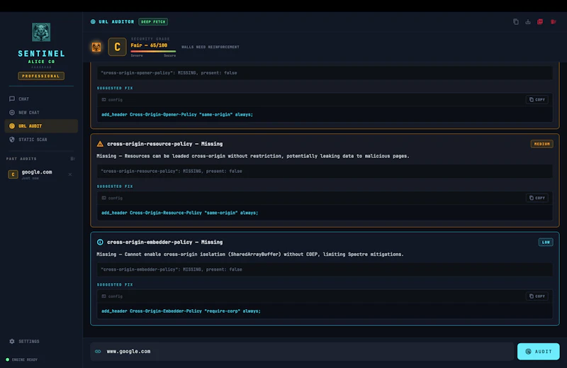 Sentinel AI screenshot 2