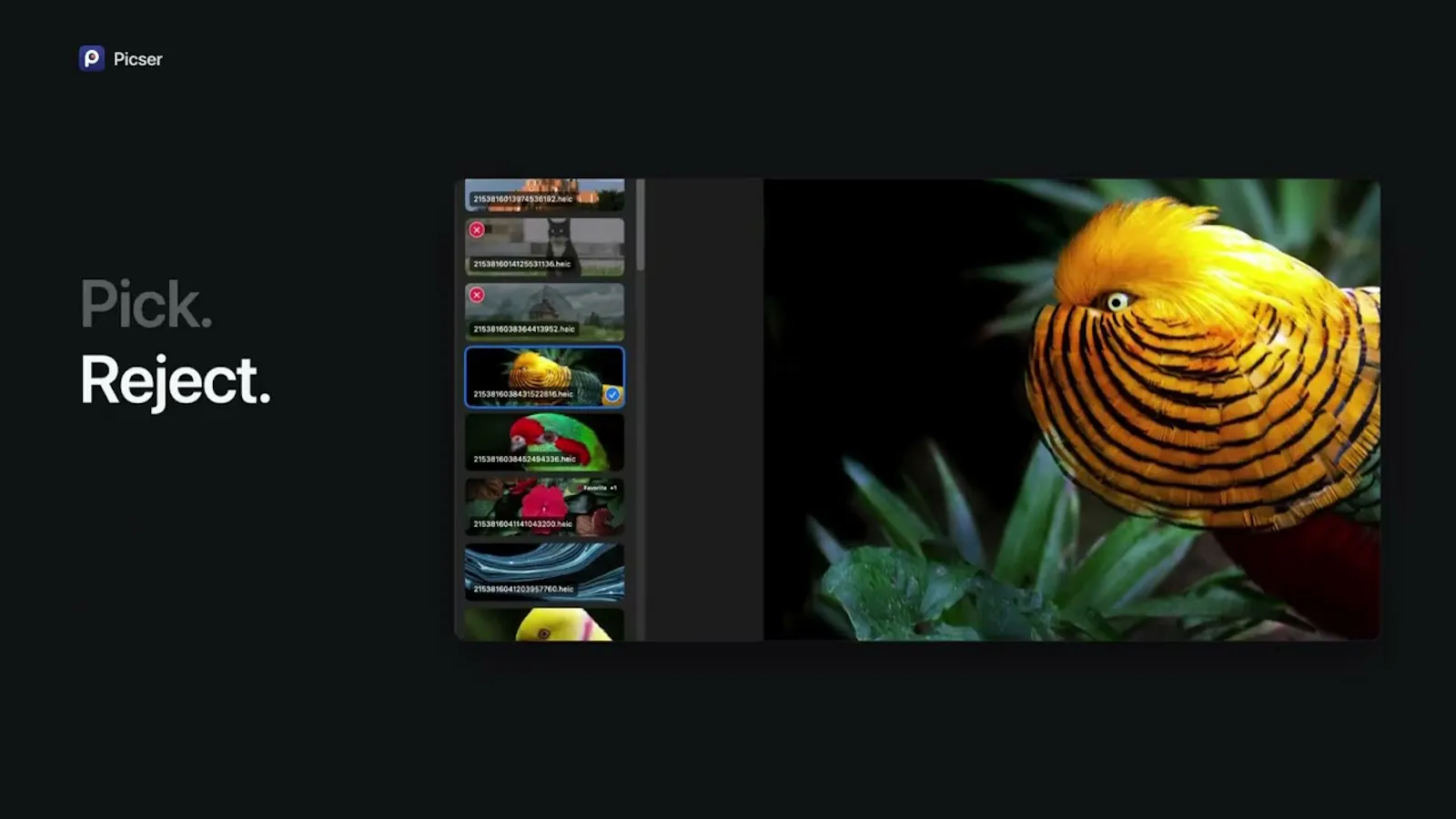 Picser screenshot 1 (video preview)