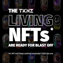 TKNZ.gg gallery image