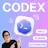 Codex Beginner Workflow in 2026