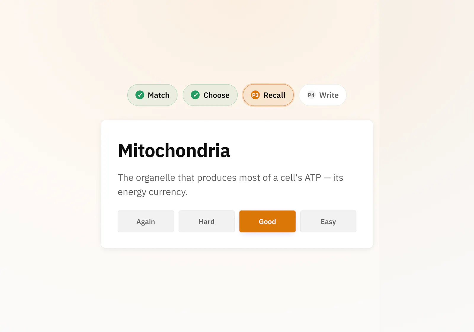 Scholium · Folio of learning tools screenshot 4