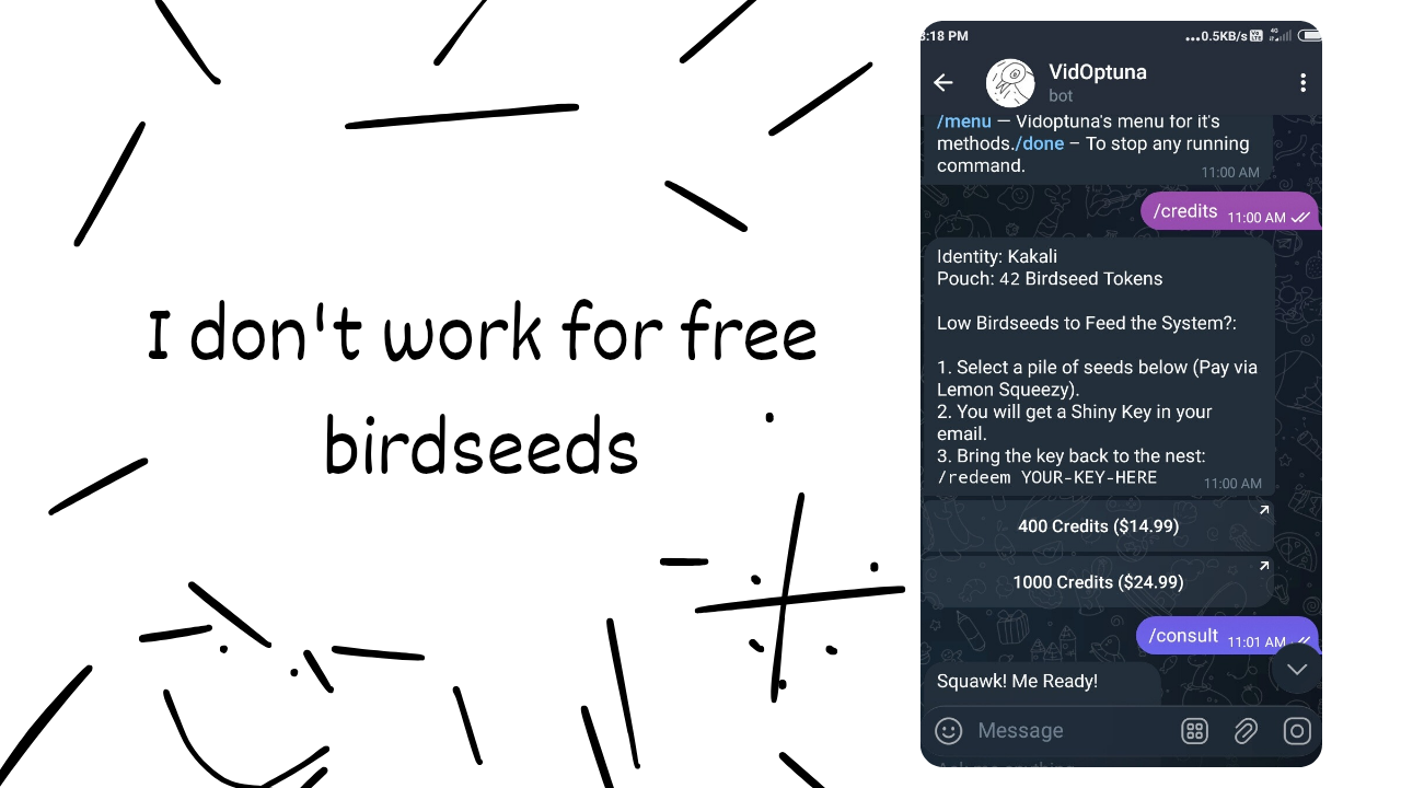 VidOptuna gallery image