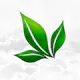 A Next Generation Smart Nutrition Co.