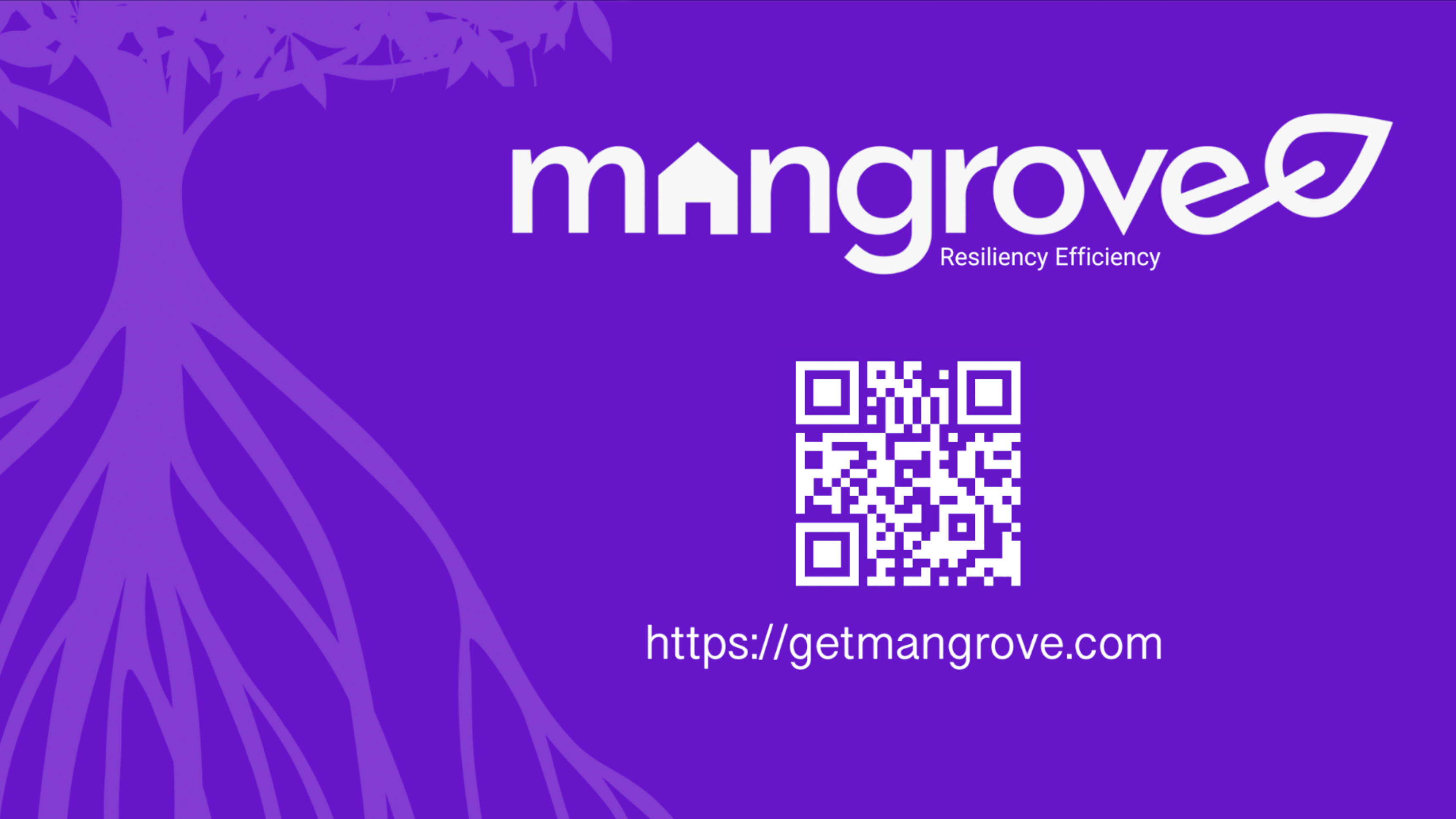 Mangrove media 6