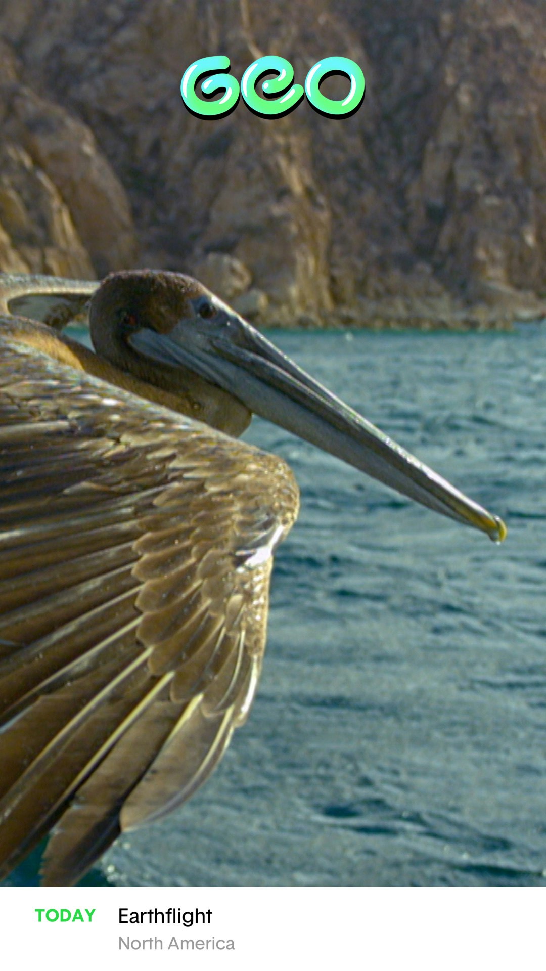 Dreams gallery image