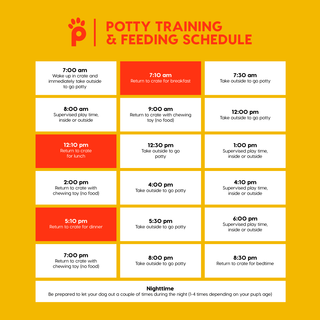 30 Day Perfect Pup with Zak George gallery image