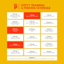 30 Day Perfect Pup with Zak George gallery image