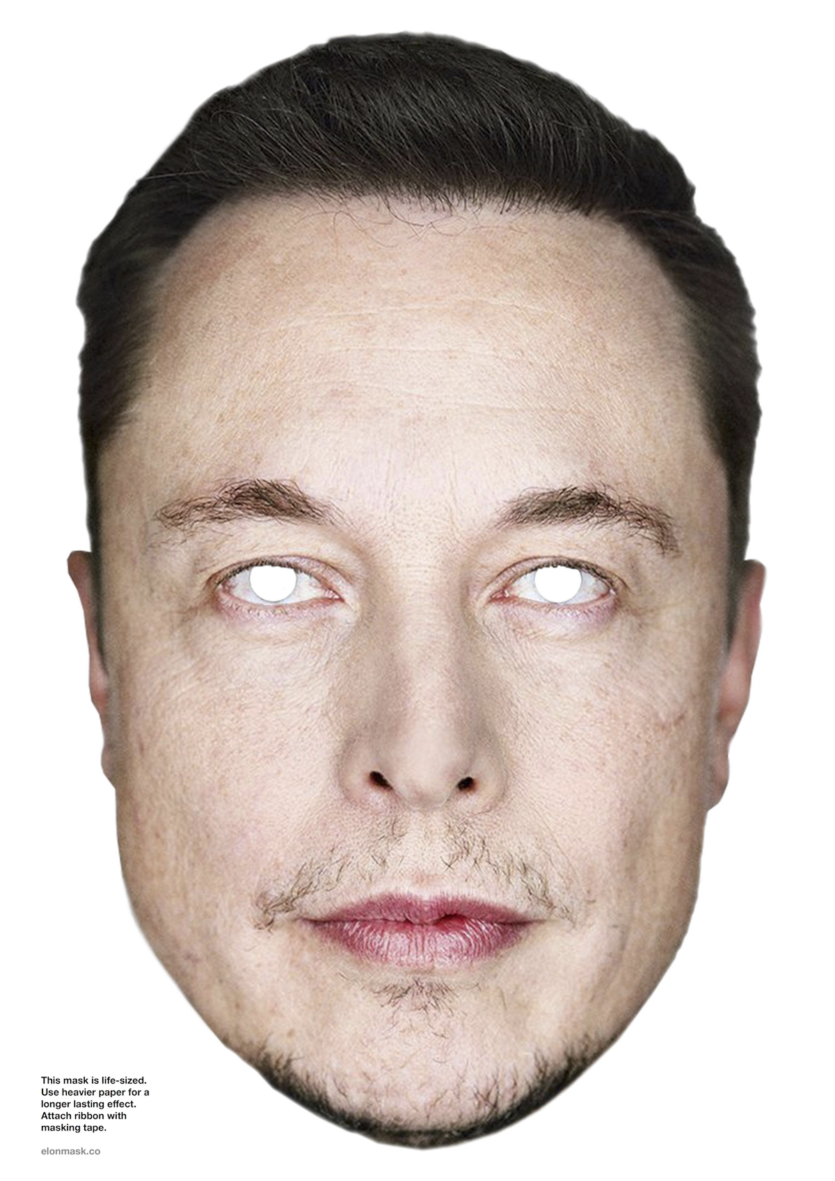 Elon Mask gallery image