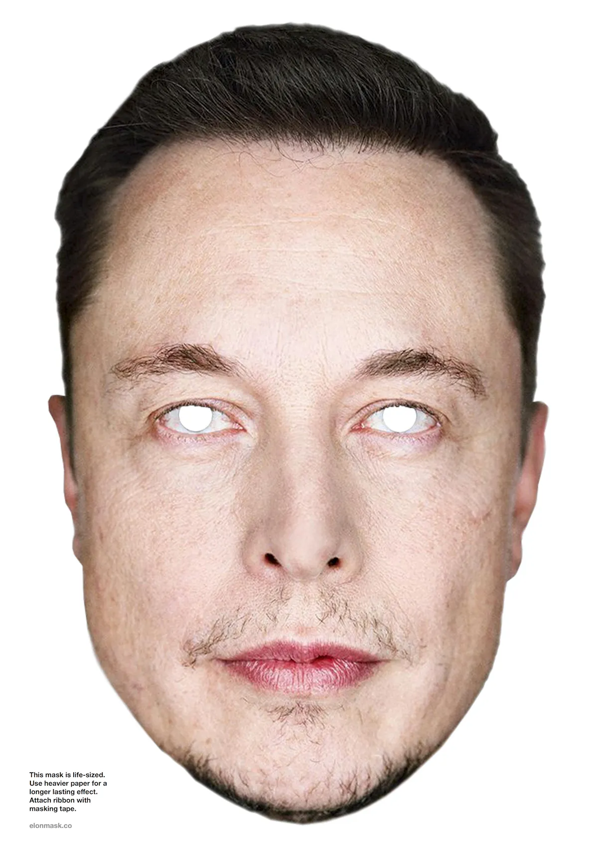 Elon Mask Image