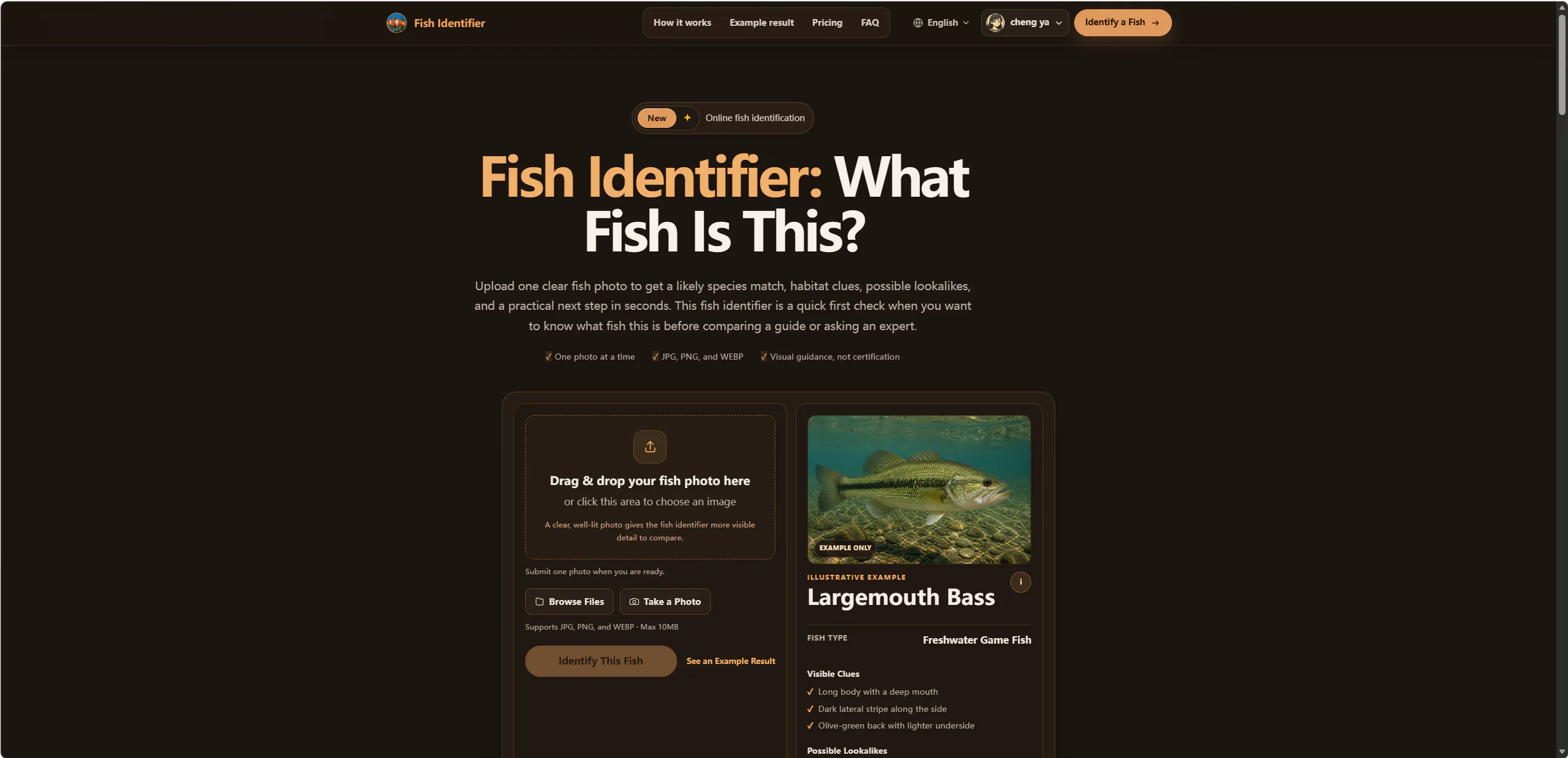 Fish Identifier gallery image