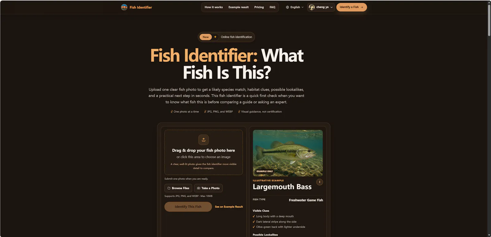 Fish Identifier screenshot 1