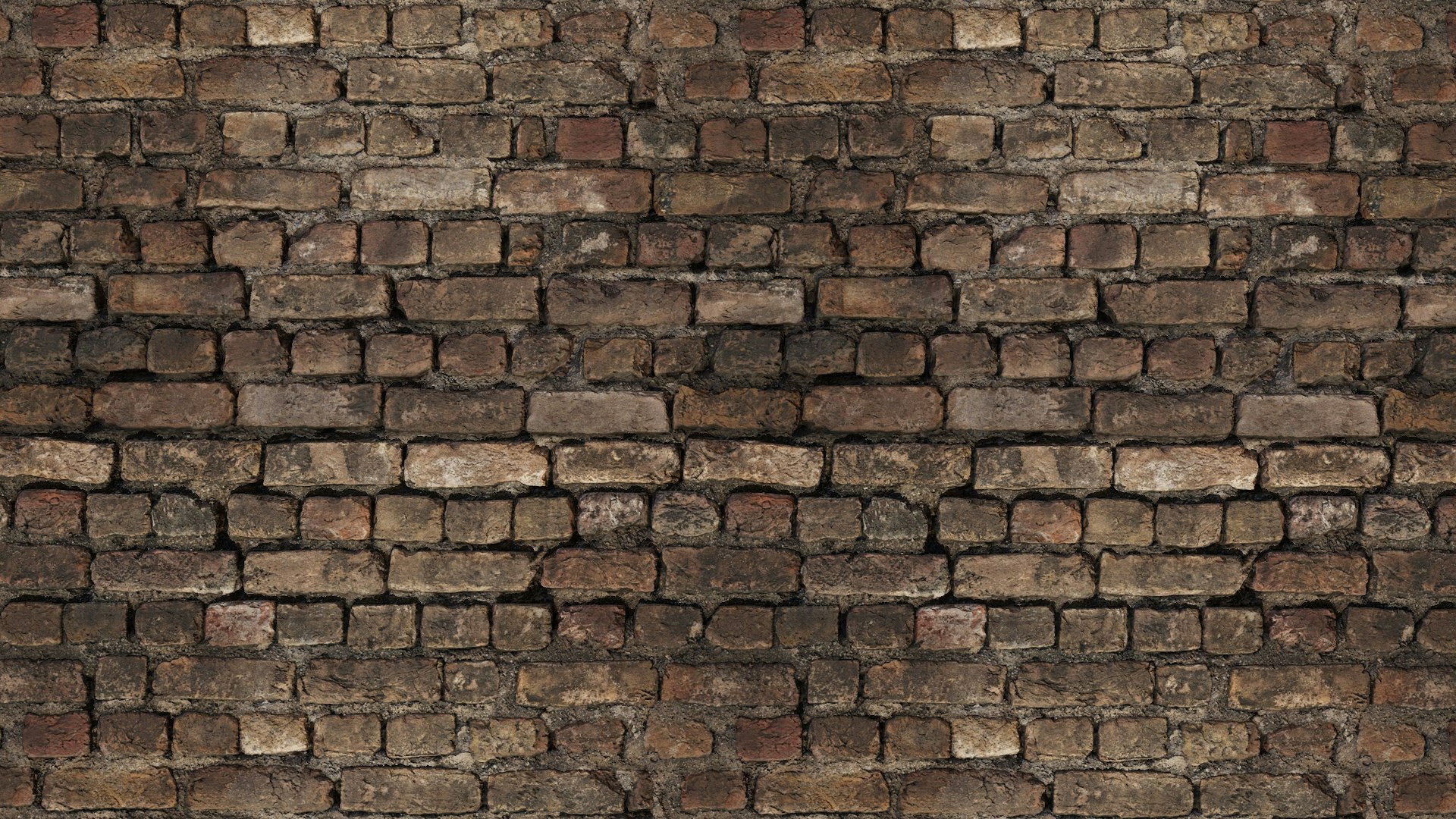 PolyScan  gallery image