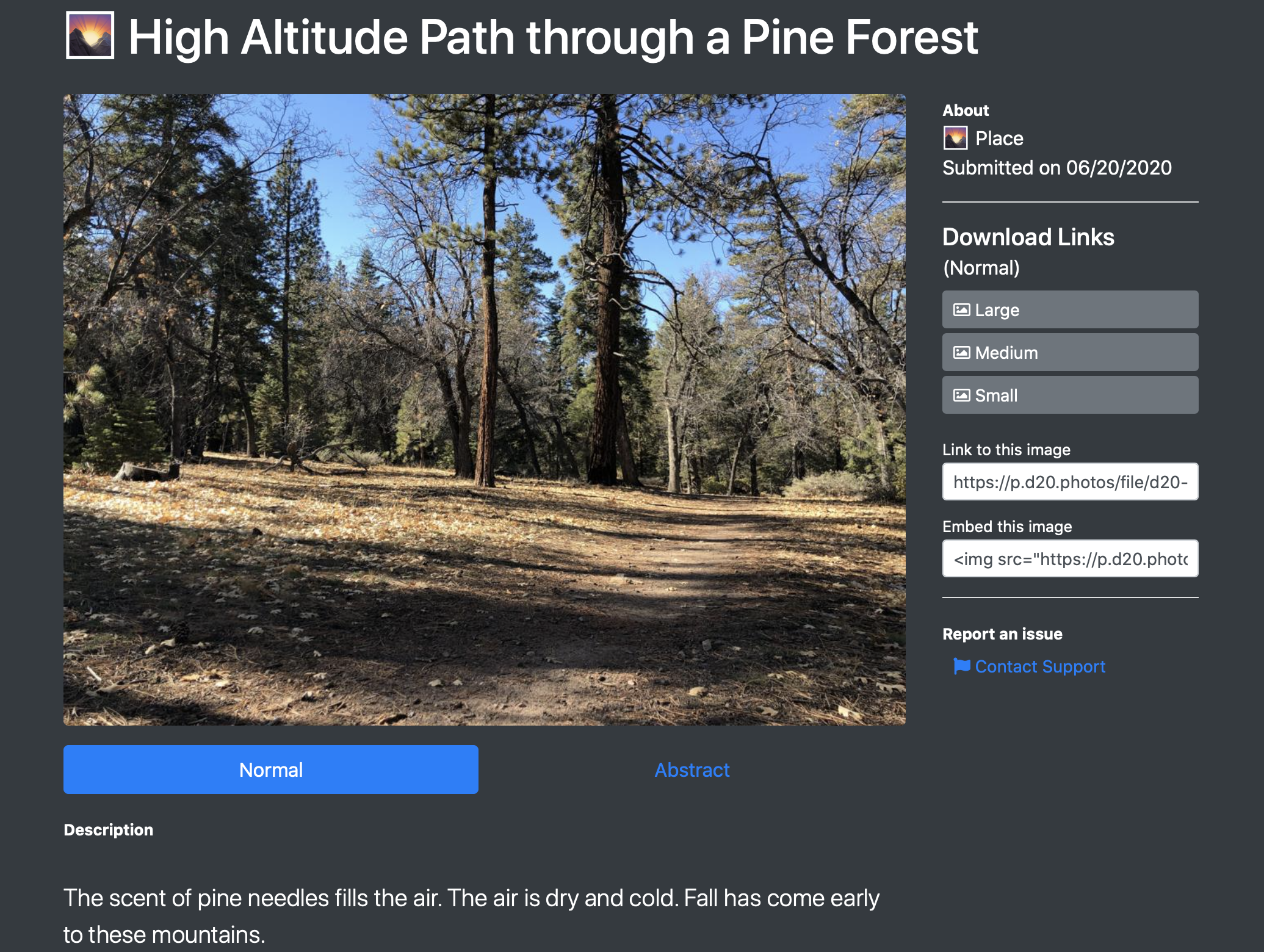 d20.photos gallery image