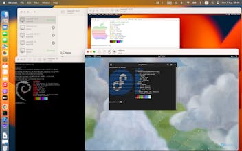 Cheetah gallery image