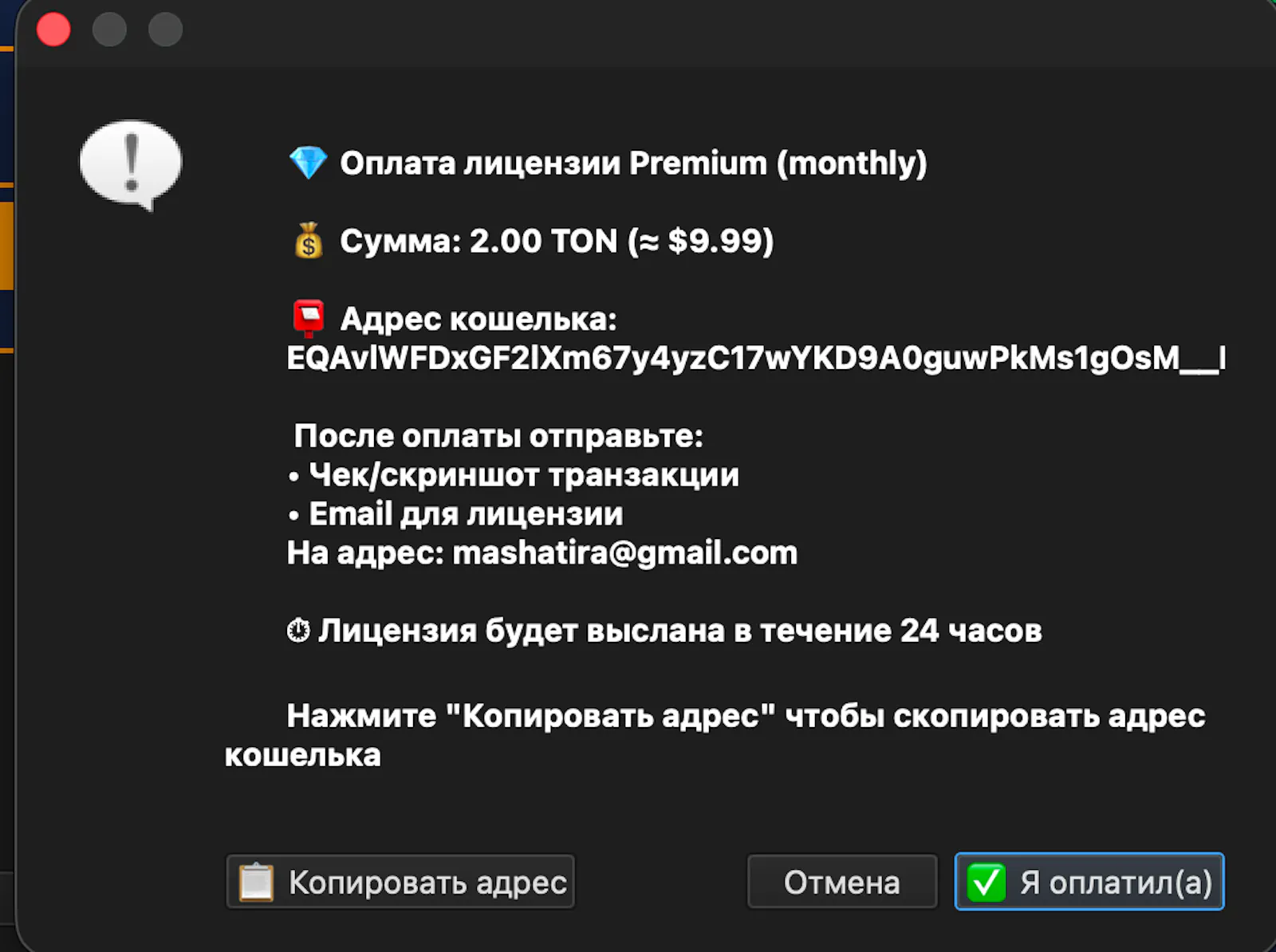 API Security Scanner PRO screenshot 1