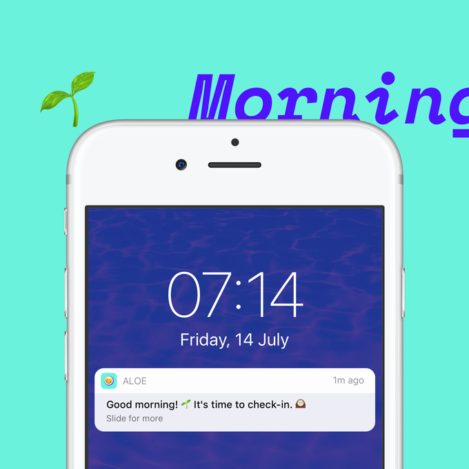 Aloe App gallery image