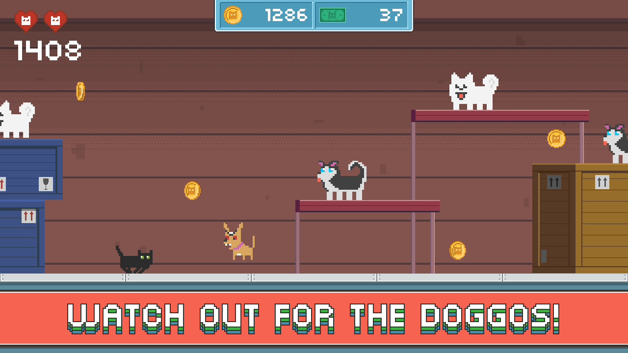 Infinite Meow gallery image