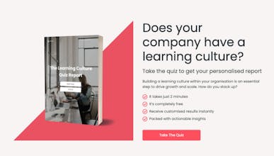 The Learning Culture Quiz gallery image