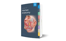 Kenhub Atlas of Human Anatomy media 3