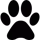 ShortVideoGen
