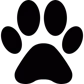 ShortVideoGen
