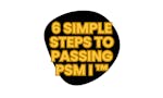 PSM1.org image