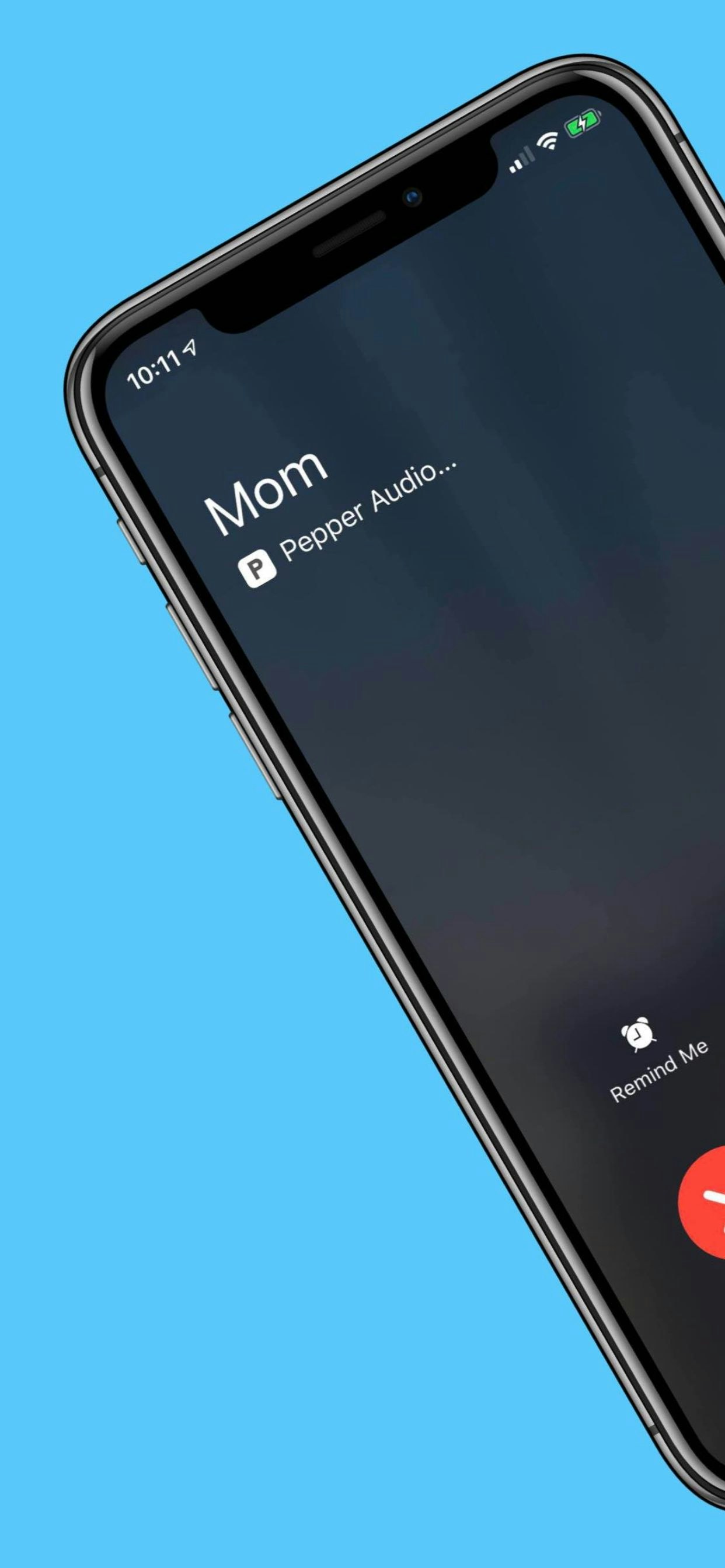 Pepper gallery image