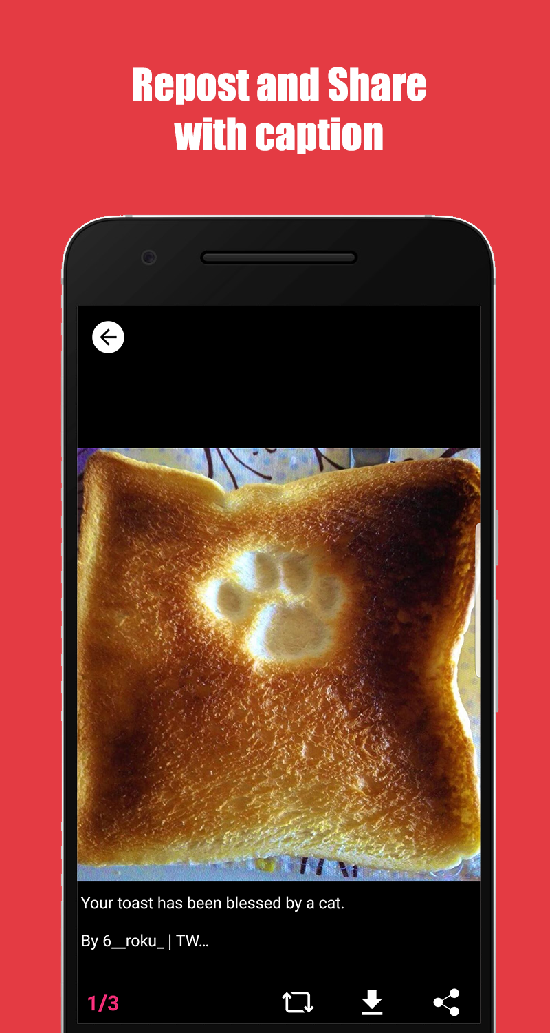 Story Downloader for Instagram gallery image