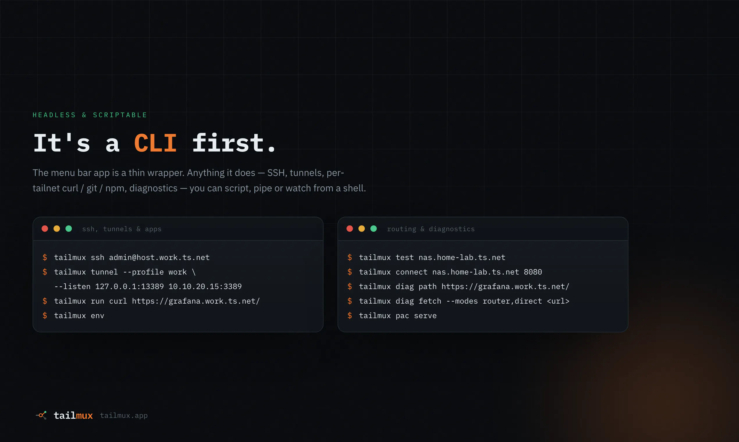 TailMux gallery image