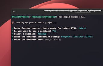 Rapid Express CLI gallery image