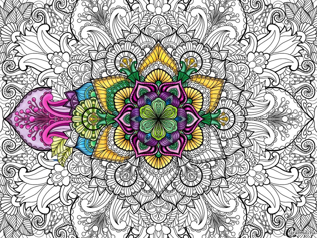 Caraboutcha, coloring gallery image