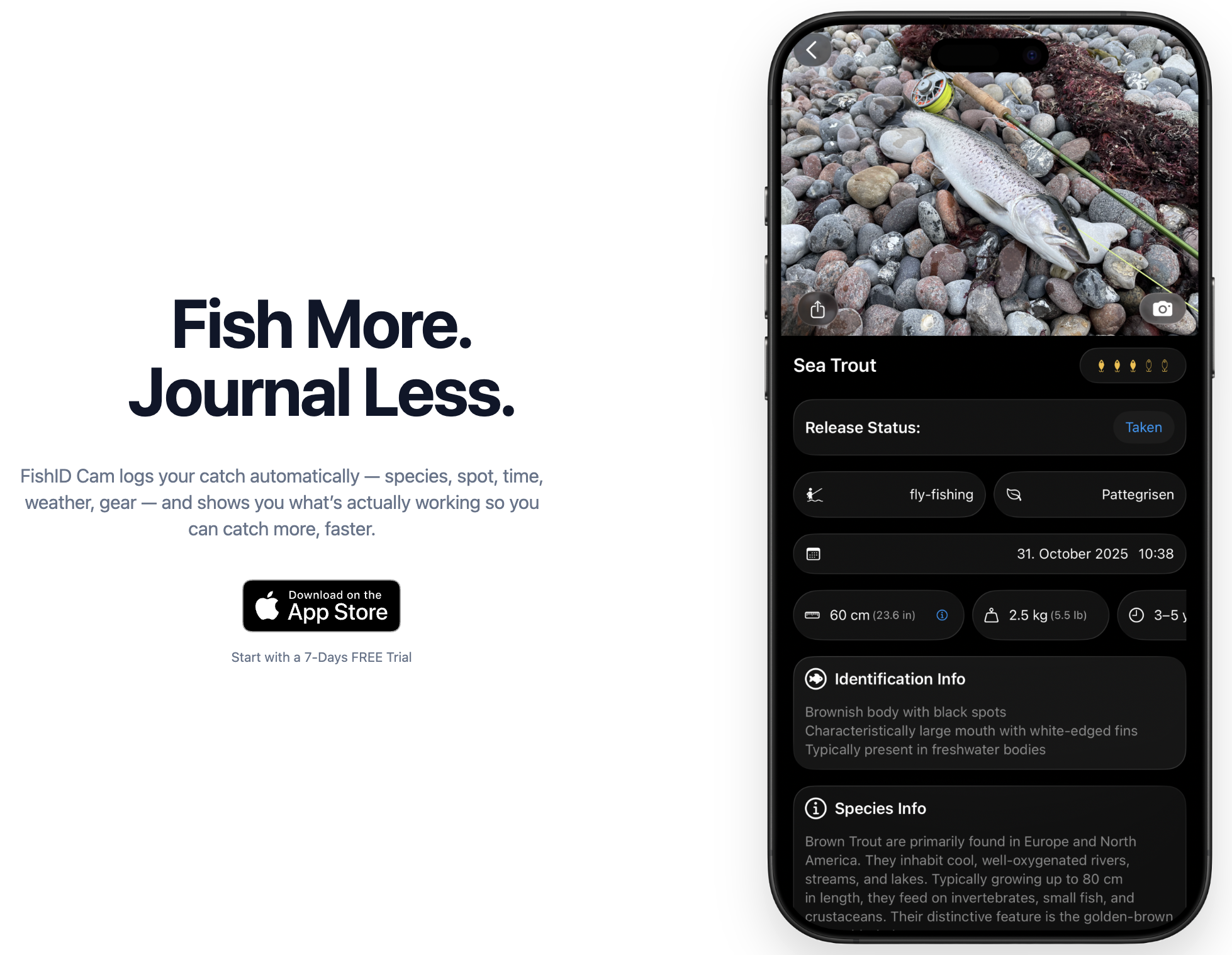 FishID Cam gallery image