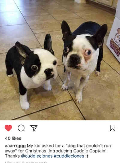 Cuddle Clones gallery image