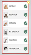 Cat Bomb gallery image