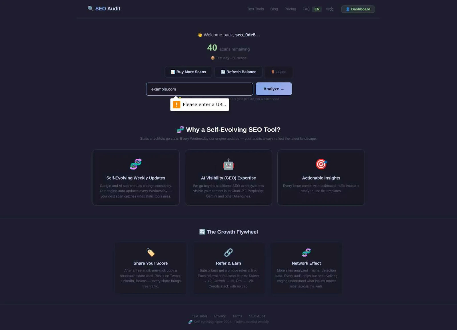  textools SEO Audit screenshot 1